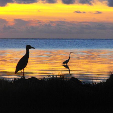 ホテル Costa De Cocos スカラク エクステリア 写真