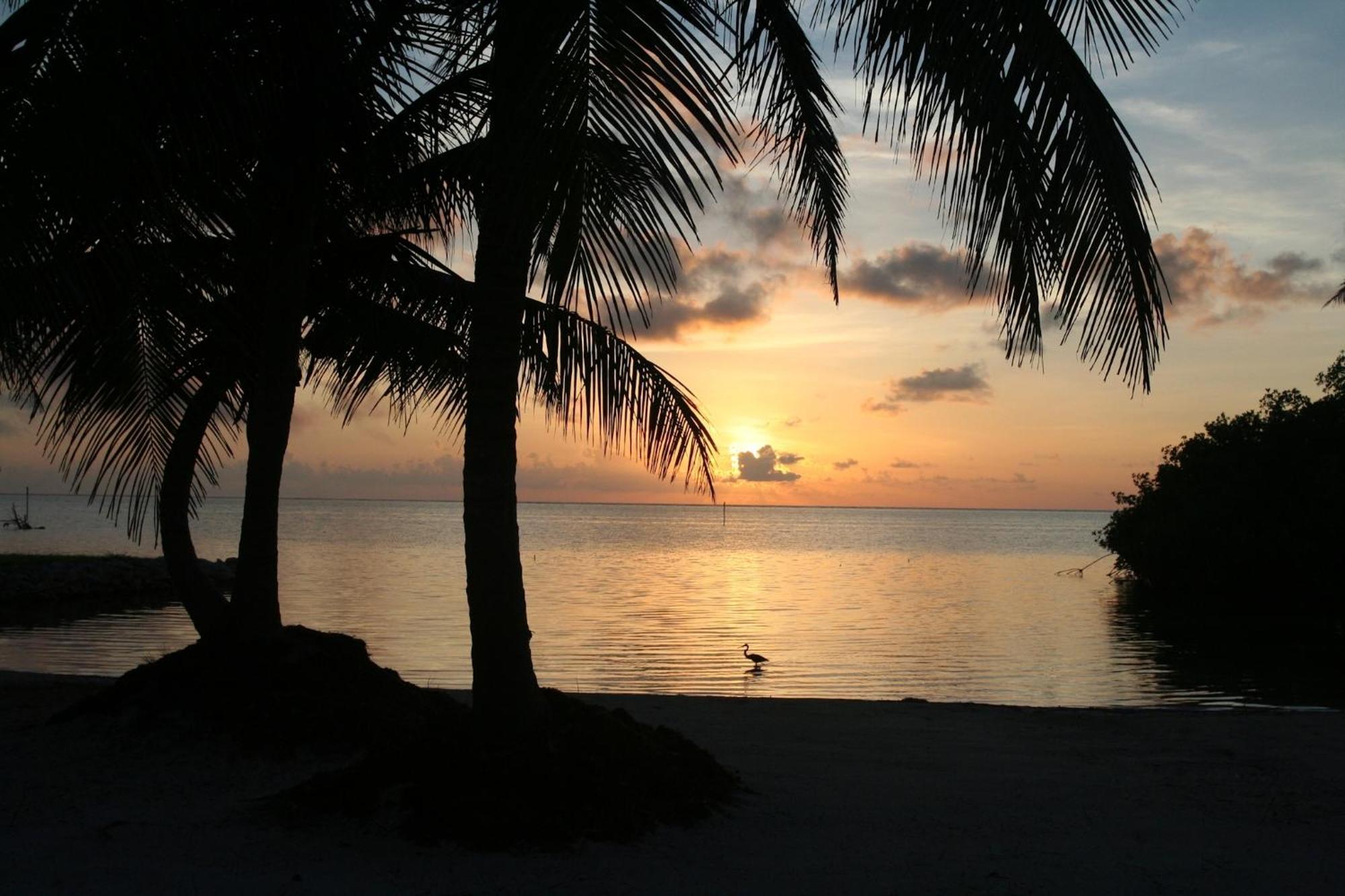 ホテル Costa De Cocos スカラク エクステリア 写真