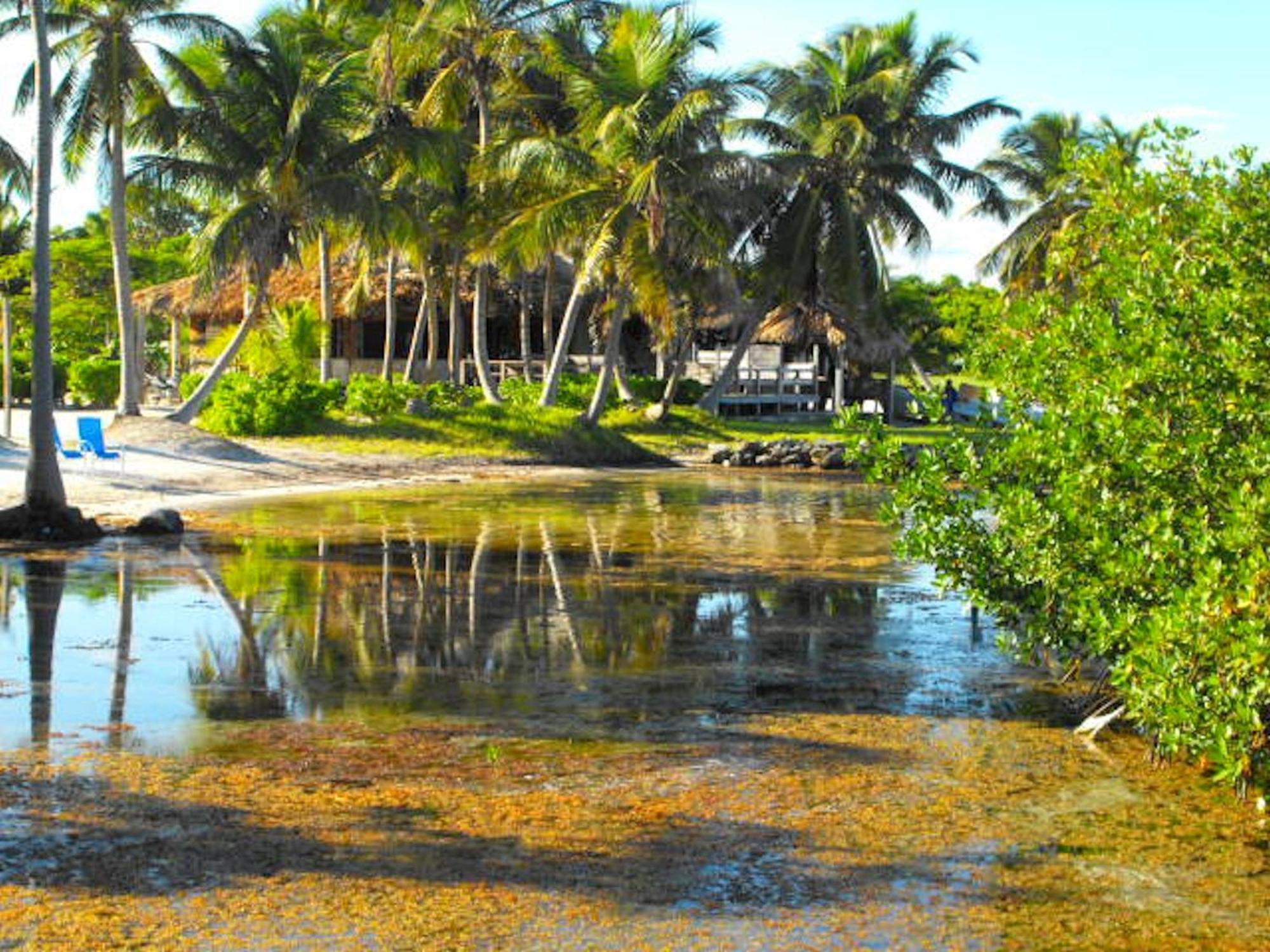 ホテル Costa De Cocos スカラク エクステリア 写真